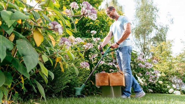 Тример садовий акумуляторний Bosch EasyGrassCut 18V-230 (0.600.8C1.A03)