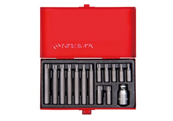 Набір біт 10 мм (по 15 шт.)