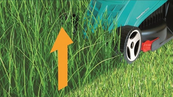 Газонокосарка мережева Bosch Rotak 32, 1200Вт, 31 л контейнер, 6,8 кг (0.600.885.B00)