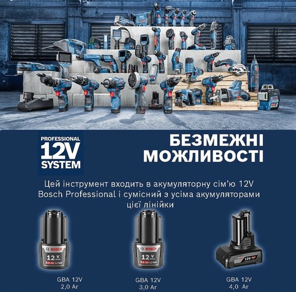 Шуруповерт-дриль Bosch Professional 12V-30 безщітковий (0.601.9G9.000)