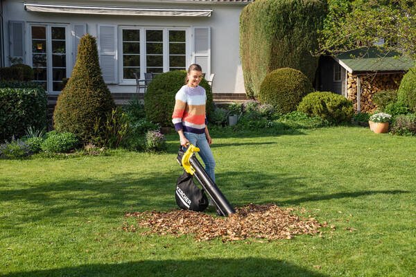 Повітродувка-пилосос Karcher BLV 18-200 Battery