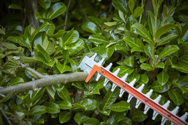 Кущоріз акумуляторний BLACK+DECKER BCHTS3625L1