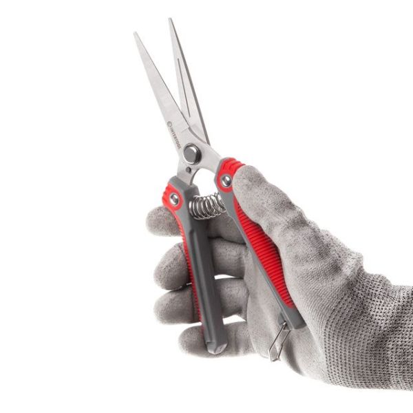 Секатор для винограду 200 мм, INOX, двокомпонентна рукоятка INTERTOOL FT-1015