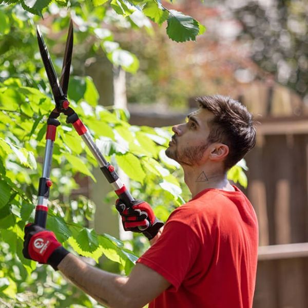 Ножиці садові з телескопічними ручками INTERTOOL FT-1117