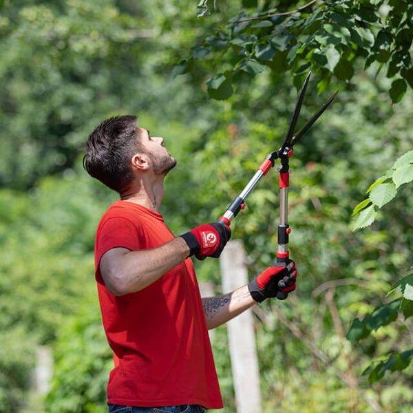 Ножиці садові з телескопічними ручками INTERTOOL FT-1117