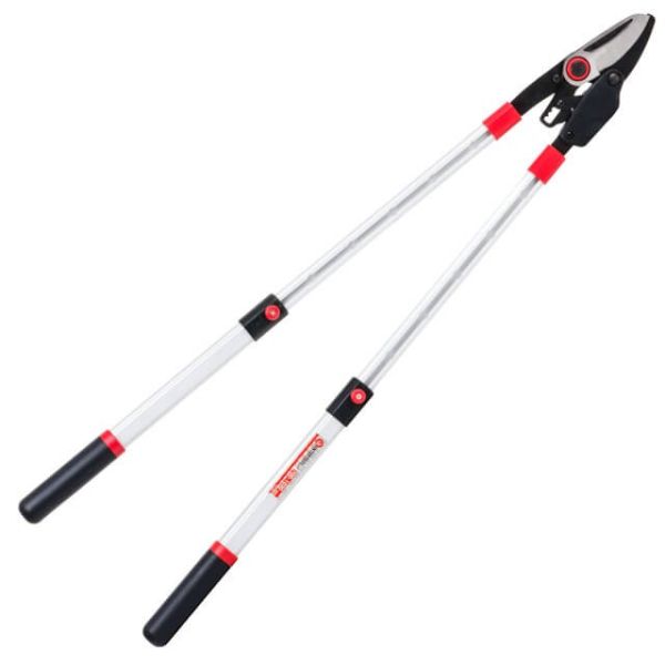 Сучкоріз садовий для обрізання гілок з храповим механізмом, з телескопічними ручками 700-1030 мм INTERTOOL FT-1118