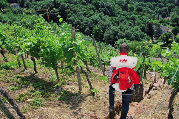 Обприскувач бензиновий ранцевий SOLO MASTER452