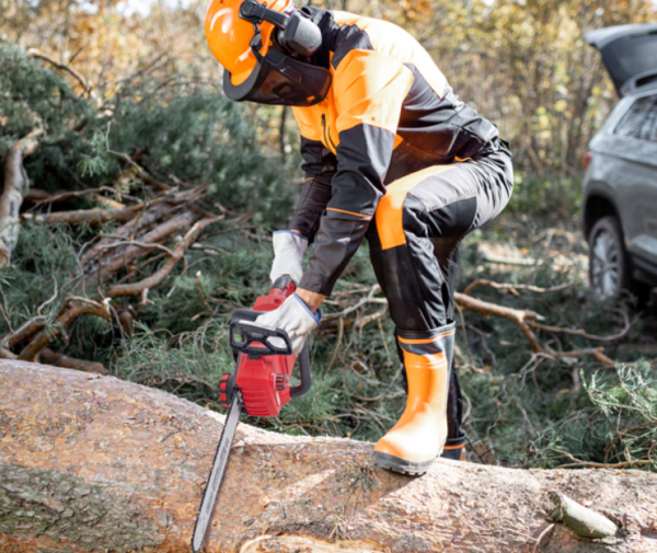 Пилка електрична HECHT 2439