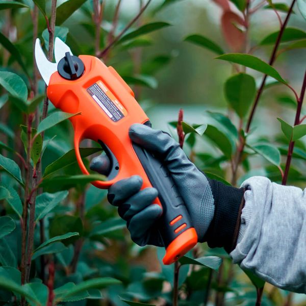 Ножиці садові - секатор акумуляторний SEQUOIA SBP3610C