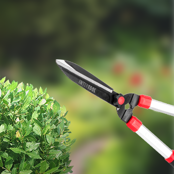 Комфортна робота