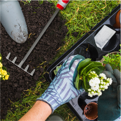 Призначення