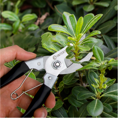 Призначення