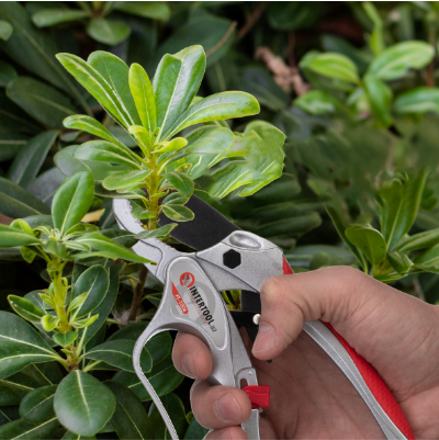 Призначення