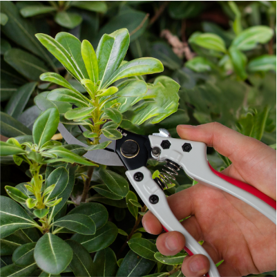 Призначення