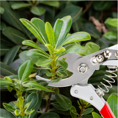 Призначення