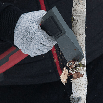 Лезо з карбонової сталі