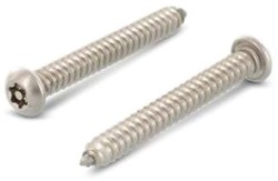 Самонаріз 4,8х25 А2 нпкр TORX25 антивандал.