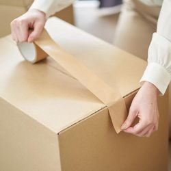 HPX ECO - 48мм х 50м - паперова пакувальна стрічка